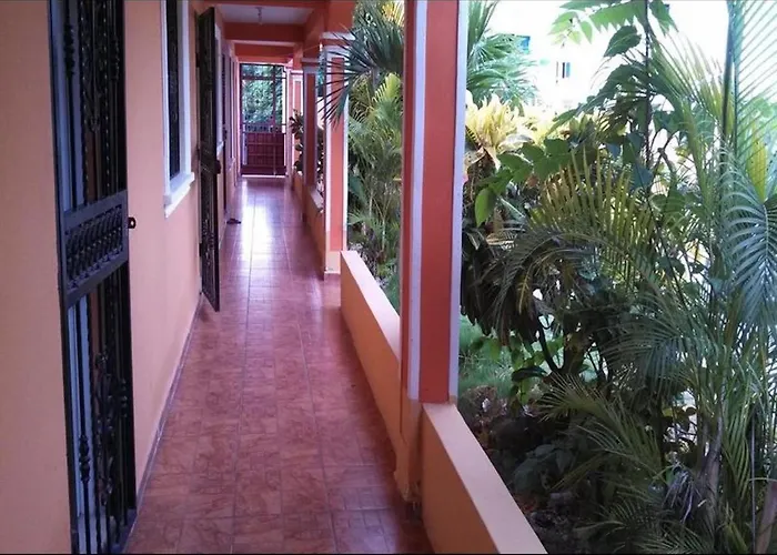 Room In Guest Room - Apartahotel Next Nivel