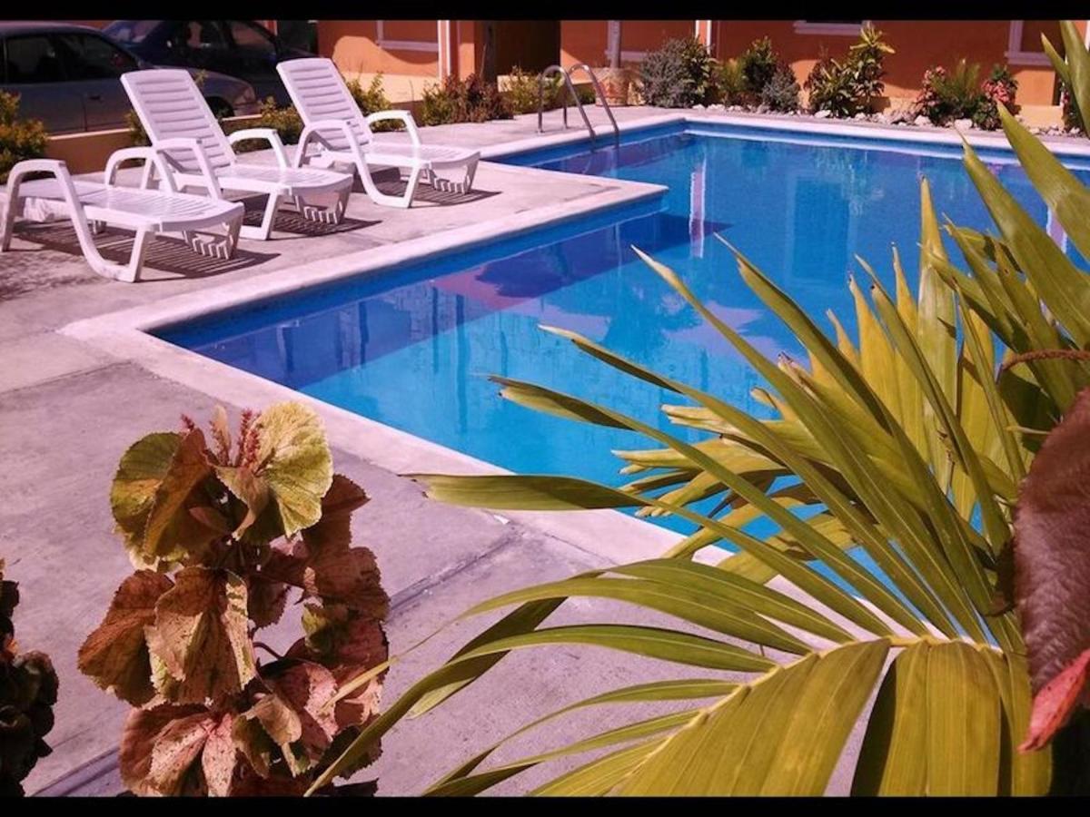 In Guest - Next Nivel